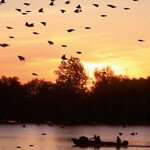 Maxitours - Roumanie - Le Delta du Danube