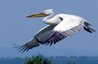 06_DeltaduDanube