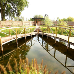 Danube_Delta_8